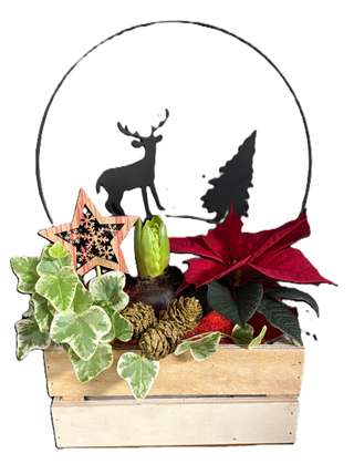 Cercle métallique cerf et sapin avec poinsettia et jacinthe