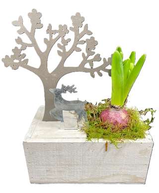 Coffret bois avec arbre et cerf en métal, jacinthe rose