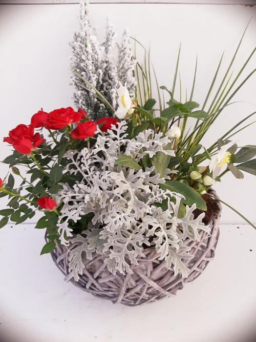 Composition florale d'hiver