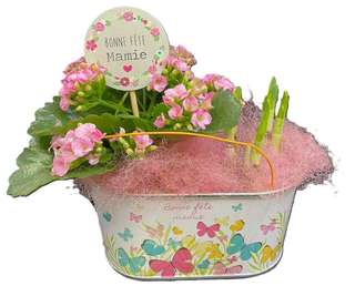 Kalanchoé rose en bac Bonne fête mamie