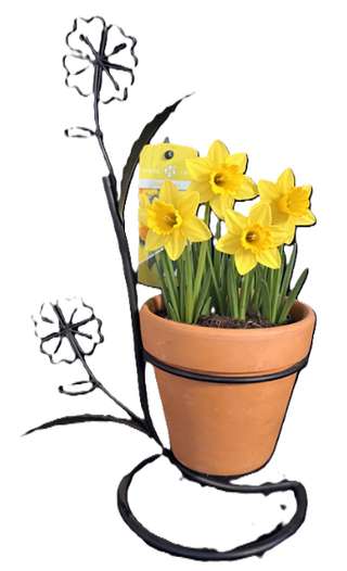 Jonquilles en pot terre cuite sur support en fer forgé