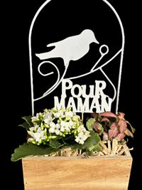 Composition florale pour la fête des Mères
